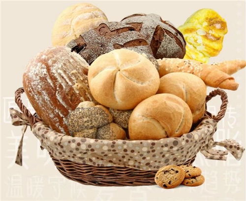 小成本創業者是否適合加盟左右歐包、秦皇島麥翁餐飲與掌上披薩？